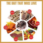 Load image into Gallery viewer, Humane Flip N' Slide Bucket Flip-Lid Mouse and Rat Trap by The Gadget Shack Shop - The Gadget Shack Shop
